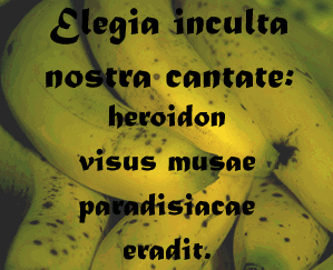 Elegia inculta nostra cantate: heroidon visus
   musae paradisiacae eradit