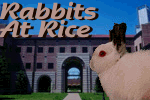 [Rabbits at Rice]